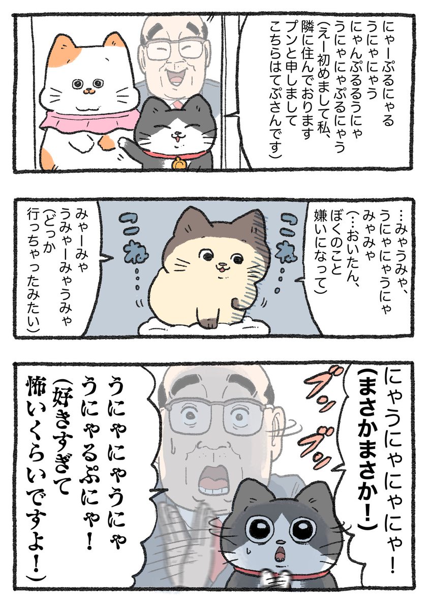 ねこに転生したおじさん。その380