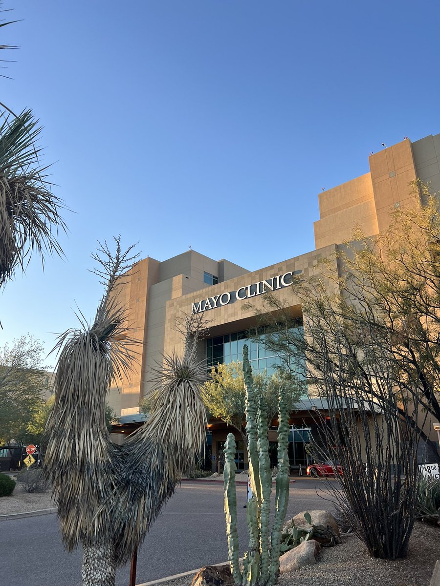 Teaching our 3-day comprehensive simulation faculty development course at Mayo Arizona! The sunshine, warmer weather, and cacti are a nice change in scenery! college.mayo.edu/academics/simu… @MayoFacDev #MayoSimulation