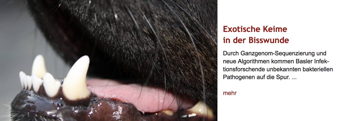 Veronika Muigg et al. vom <a href="/UniSpitalBasel/">UniSpitalBaselCH</a> detektieren und charakterisieren mit ihrer NOVA-Methode bislang unbekannte #Bakterien aus klinischen Proben. Deren Kernstück ist die Entschlüsselung ganzer bakterieller #Genome … <a href="/microrab/">Ralph Bertram</a> erklärt's uns genauer: laborjournal.de/editorials/293…