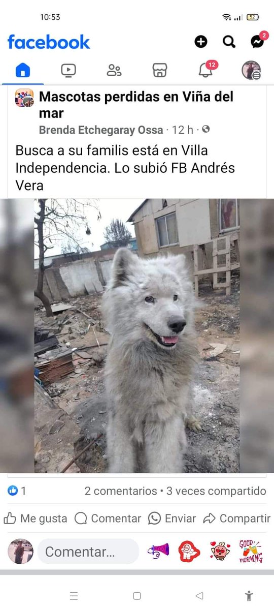 monsalvesmonica's tweet image. 