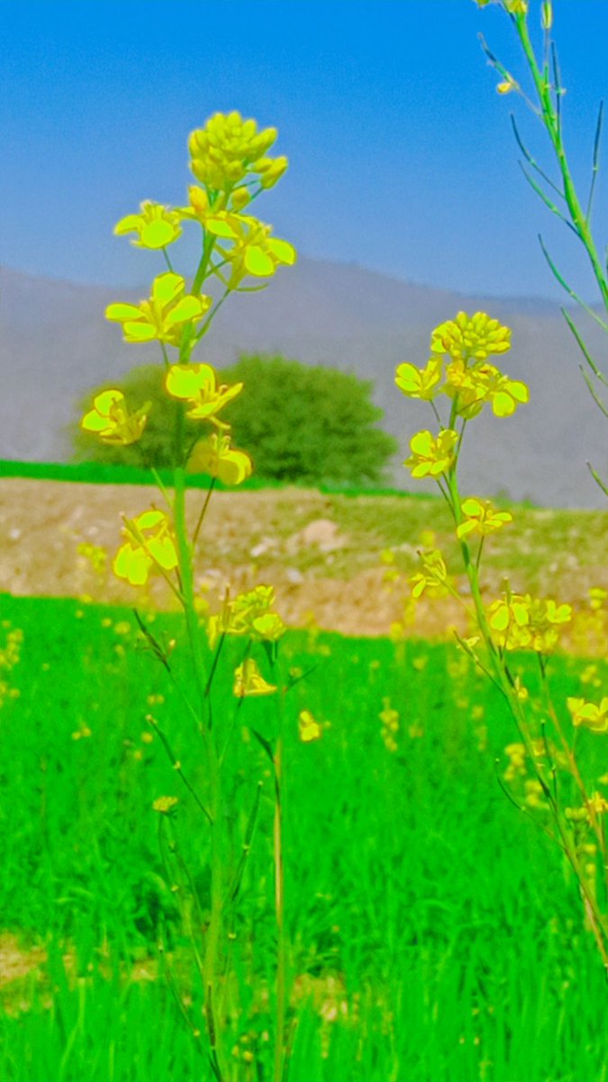 اگلی لسٹ میں شامل ہونے کے لیے ریپوسٹ لازمی کریں اور اپنا ہینڈل مینشن کریں۔فالو~فالو بیک کریں
یار جن کا نام آتا ہے وہ پوسٹ کو ری پوسٹ کریں 
<a href="/Mudasirbal64658/">PTI support 🥰</a> 
<a href="/BalochBal2761/">Mehvish Baloch</a>