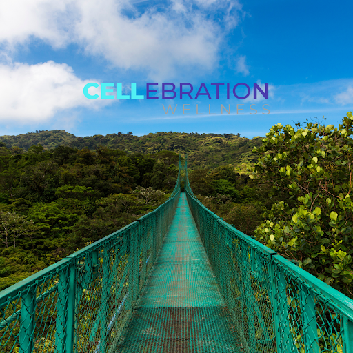 cellwellness's tweet photo. Costa Rica fun fact of the week!

“Costa Rica is part of the Pacific Ring Fire Circle and has over 200 volcanic formations traced back over 65 million years.”

https://t.co/7weT3XDDxb https://t.co/DREMpCOHcD