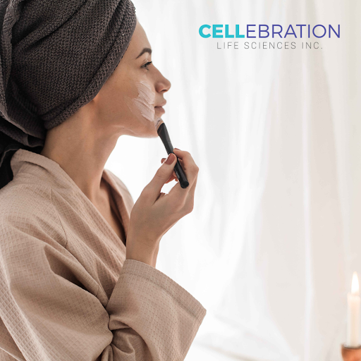 cellebrationsci's tweet photo. Skin stem cells are multipotent adult stem cells present in adult skin, which can self-renew and differentiate into different cell lineages of the skin. Skin stem cells are active during skin renewal and in skin repair after injury.

https://t.co/mVwaNDu6NJ https://t.co/nUaYFRFAwv