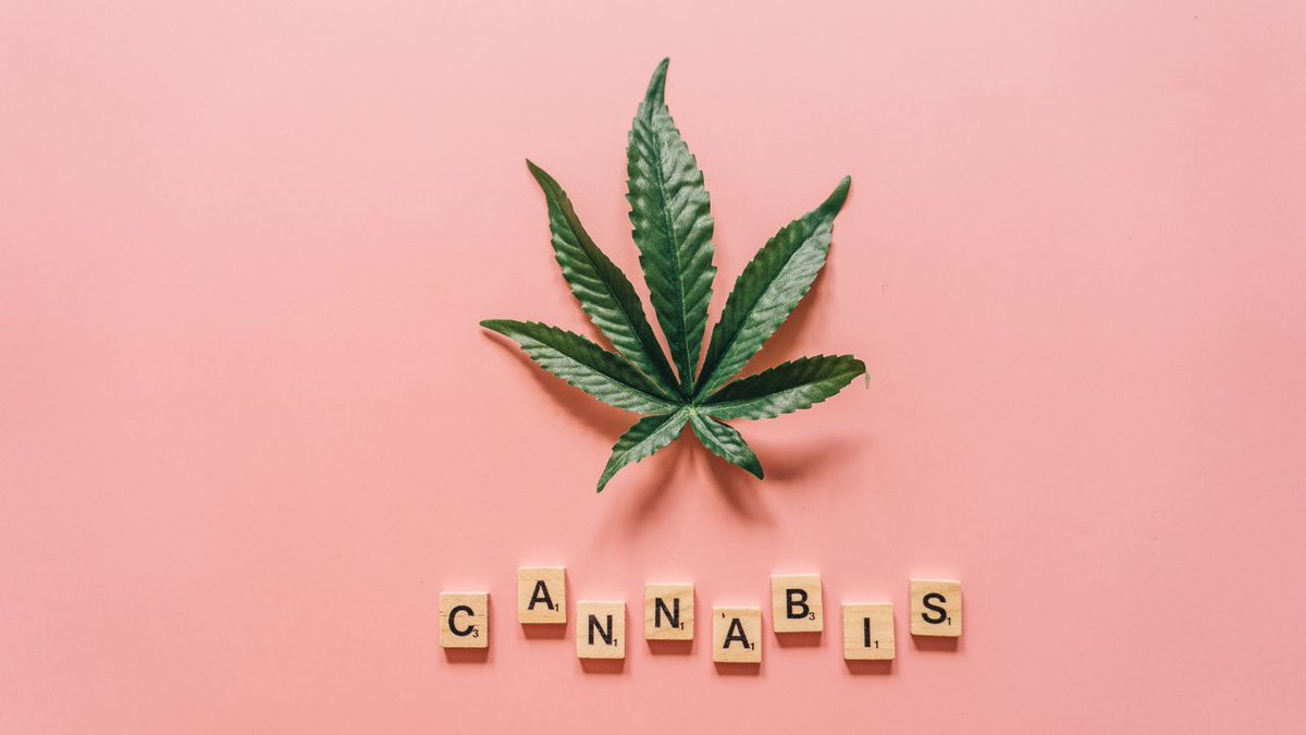 SaludMentalSJD's tweet photo. 🚨 Jóvenes y #cannabis: un estudio revela riesgos para la salud mental y aprendizaje.
Conoce más 👉 https://t.co/zPVtWM0WdV
#henka #behenka #adolescencia #cannabis #saludmental https://t.co/Lq8PskXYzn