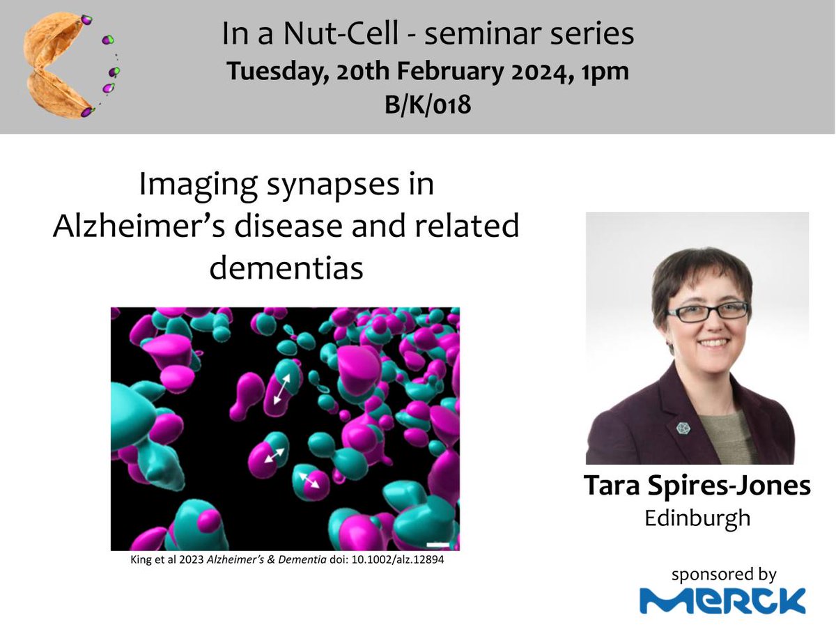 We can't wait to hear from @TSpiresJones at @BiologyatYork Cell Dynamics Series tomorrow! Imaging, synapses and Alzheimer's Disease - what's not to like! A shout out also to @merckgroup who are sponsoring the seminar.