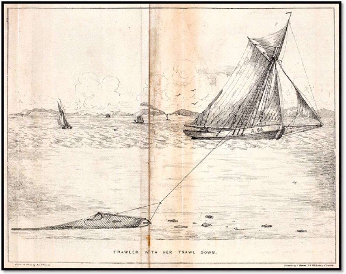 We start with <a href="/ciaranmclav/">Ciarán McLaverty</a> Did you know that bottom trawling was first mentioned in the 1300s, was undertaken in earnest in the 1700s and catches were already decreasing in the 1800s! The human influence on #Seafloor habitat is global and overwhelmingly negative.