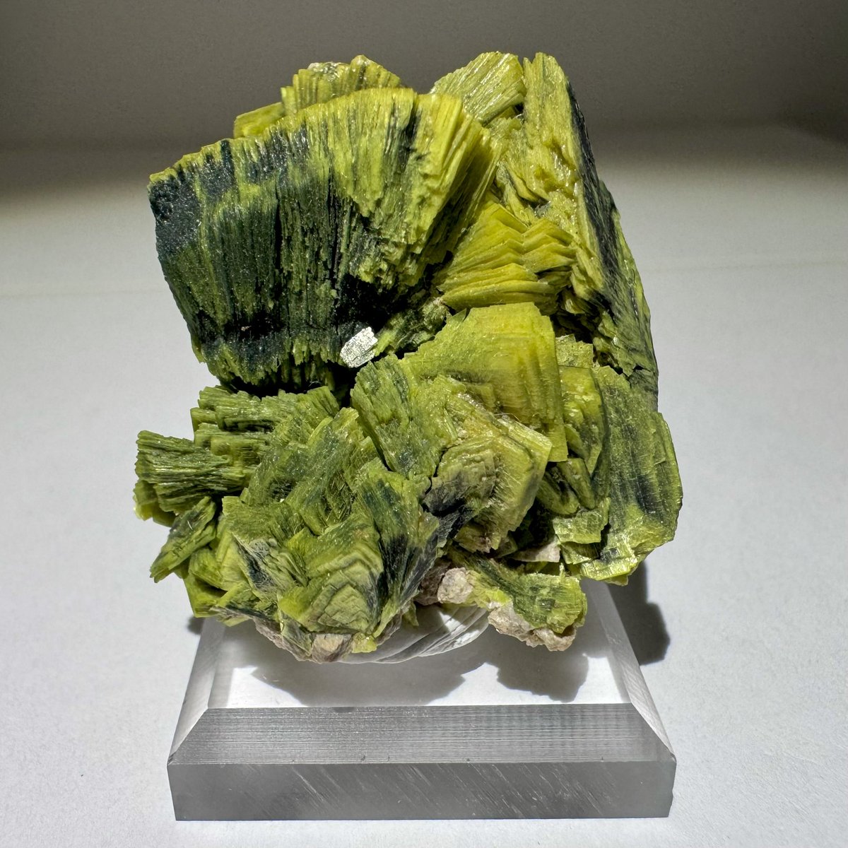 exoticcrystals's tweet photo. ⚜️Stunning Meta Autunite (Uranium Ore) Crystal Cluster from Daybreak Mine, Spokane County, Washington⚜️ #autunite #uranium #spokane #minerals https://t.co/bqBXHMbicc