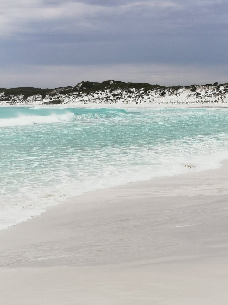 MoniquePreston3's tweet photo. Beautiful Wharton Beach, out of Esperance. https://t.co/eGfjf0kYLl