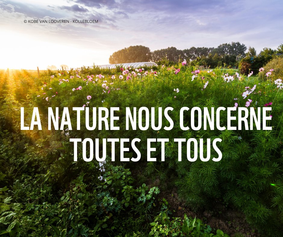 🐝🌱 Dans une lettre ouverte, le <a href="/WWF_Belgique/">WWF-Belgique</a> et 
 plus de 50 organisations soulignent que reculer maintenant sur les mesures de restauration de la #nature nous empêcherait de  nous attaquer de manière efficace aux défis de notre société.
A lire ici👉wwf.be/fr/communiques…