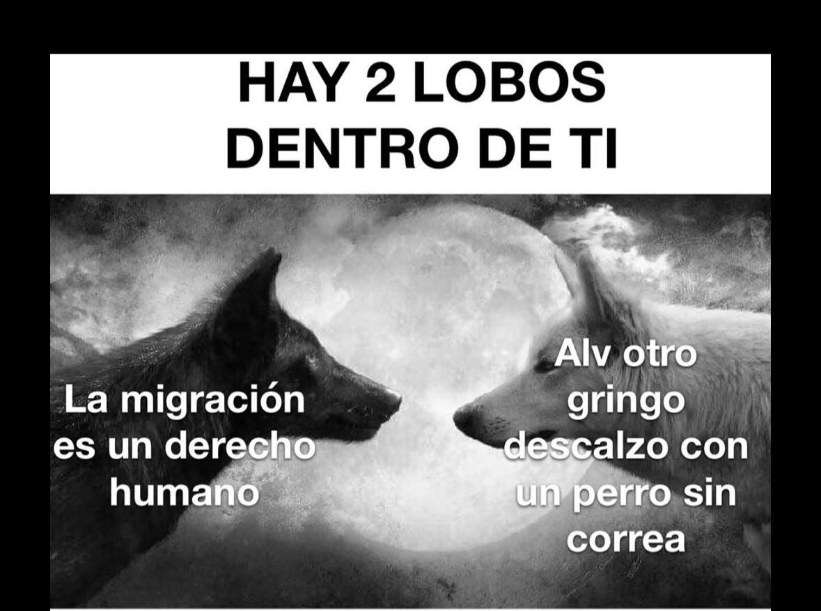 melissaayala92's tweet photo. Esto soy https://t.co/fpsrVYfj7a