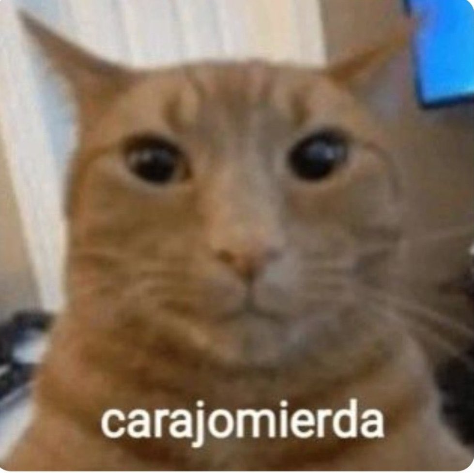 _Akira_18's tweet photo. @RicLaTorreZ Mira lo que hiciste Paolo, ahora tengo que darle la razón a Brunella Horna https://t.co/G5Iw7Xi8z8