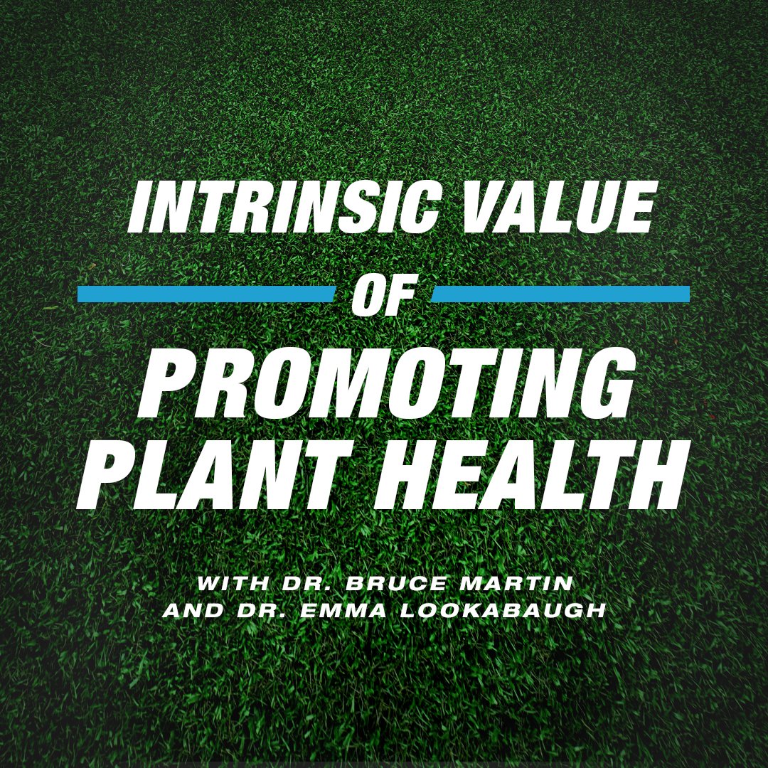 Join plant health experts Dr. Bruce Martin and Dr. Emma Lookabaugh as they discuss how Intrinsic brand fungicides help you step up your turf to the next level and build stronger foundations for your spray programs. Full episode here: bit.ly/3SvjPzD