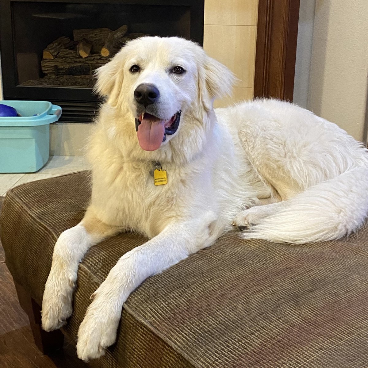 Spin Rescue tweet media