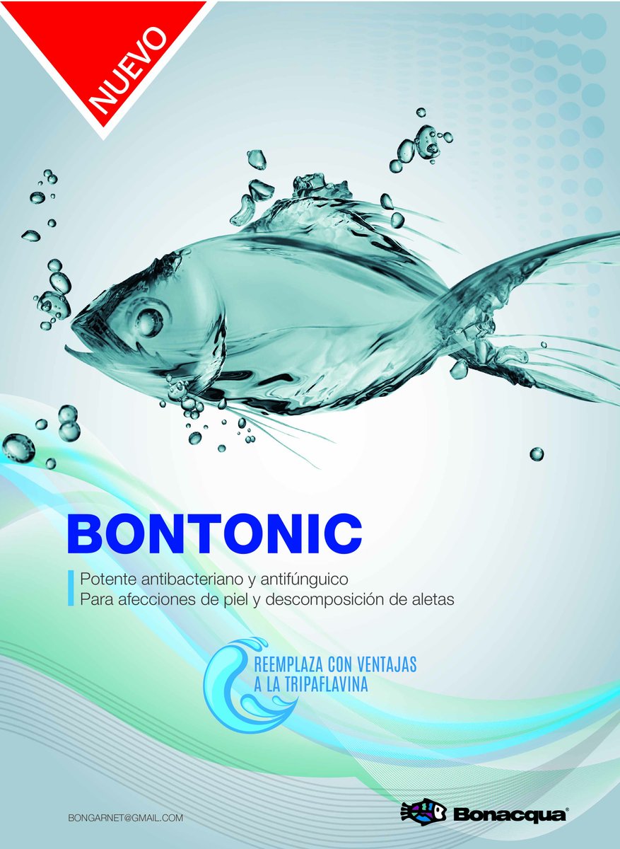 MundoMascota4's tweet photo. Mantener las peceras limpias es mucho más fácil con Bontonic, de Bonacqua, un poderoso antibacteriano y antifúngico que mantiene sanos a los peces y el agua 🐠💧

Revista Mundo Mascota
https://t.co/0uyWm0sJ0v https://t.co/DsOnuU4q3w