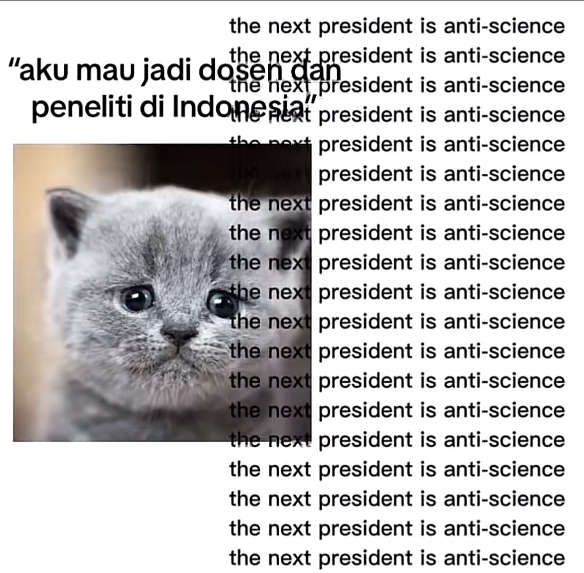 friedricelogy's tweet photo. lewat di fyp https://t.co/RLV51UNFyW