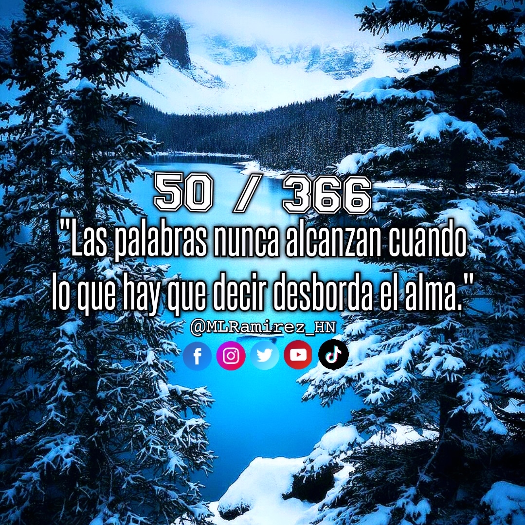 MLRamirez_HN's tweet photo. #Contando2024 #Día50
#Truth #TenFe #CreeEnTiMismo #SueñaEnGrande #Siempre https://t.co/E9Xrr5i6EG