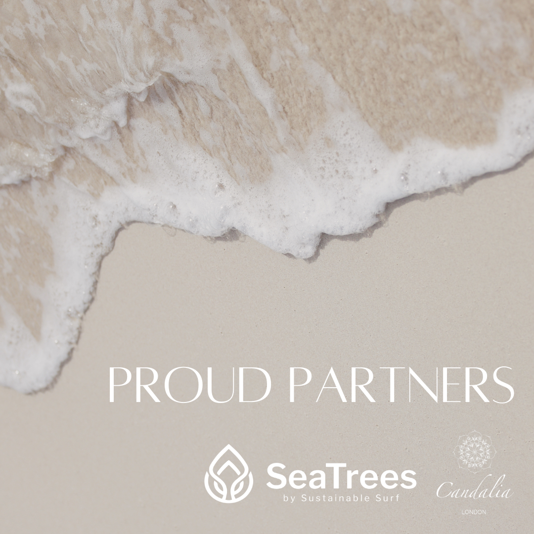 Head to our Instagram page to find out more about our exciting partnership with SeaTrees 🌊🤍🪸

#candalia #candlesuk #londoncandles #britishcandles #naturalcandles #handpouredcandles #homefragrance #homefragranceuk #coralrestoration #planetfriendly #greenfuture