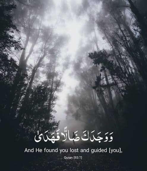 If Allah can turn night into day, then He can turn your hardships into ease.

Wishing you a peaceful night.

Remember to recite Surah Mulk before sleeping.

Good night 😴 🥱