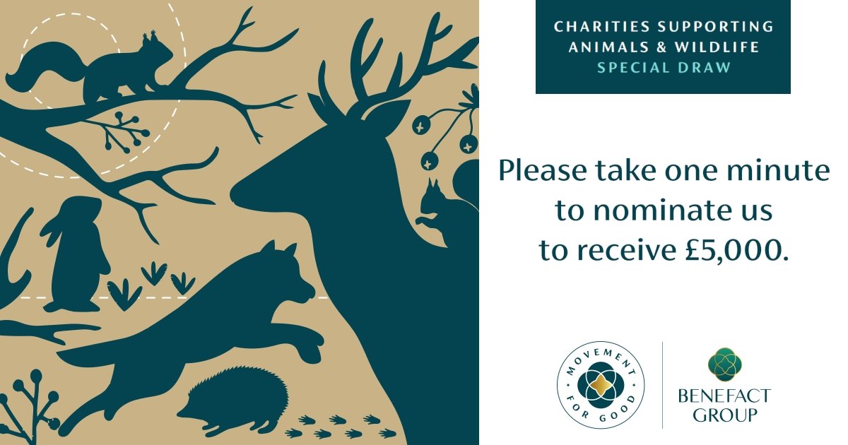 Please take a moment to nominate us, every nomination increases our chances of receiving a £5,000 donation which could make a huge difference to our work animal.movementforgood.com/index.php?cn=1… #lovebats ♥️🦇