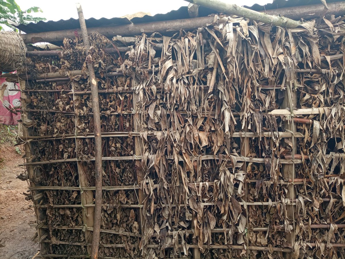 childrenofbatwa's tweet photo. This is house of batwa https://t.co/1qZYxeiRTE