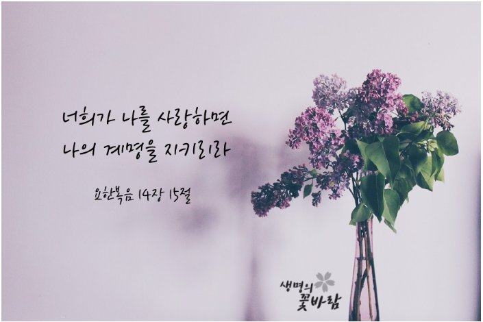 성경에 일요일 예배가 있을까요. 

그리고 일요일 예배와 안식일예배 중에서 천국 갈수 있는 '행위는 무엇일까요?

하나님께서 특별히 구별하여 주시고 복받는 날은 언제 일까요?

하나님의교회는 안식일 토요일에 예배를 드립니다.