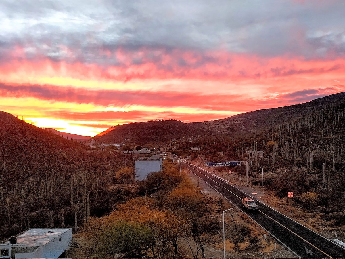 Sunset in cactusland