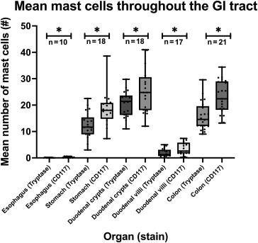 In Current Issue! #Standardized #Quantification of Mast #Cells in the #Gastrointestinal Tract in #Adults buff.ly/3HXwial