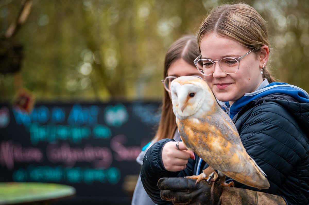 The Big Hoot Chichester & Arundel 2024 tweet media