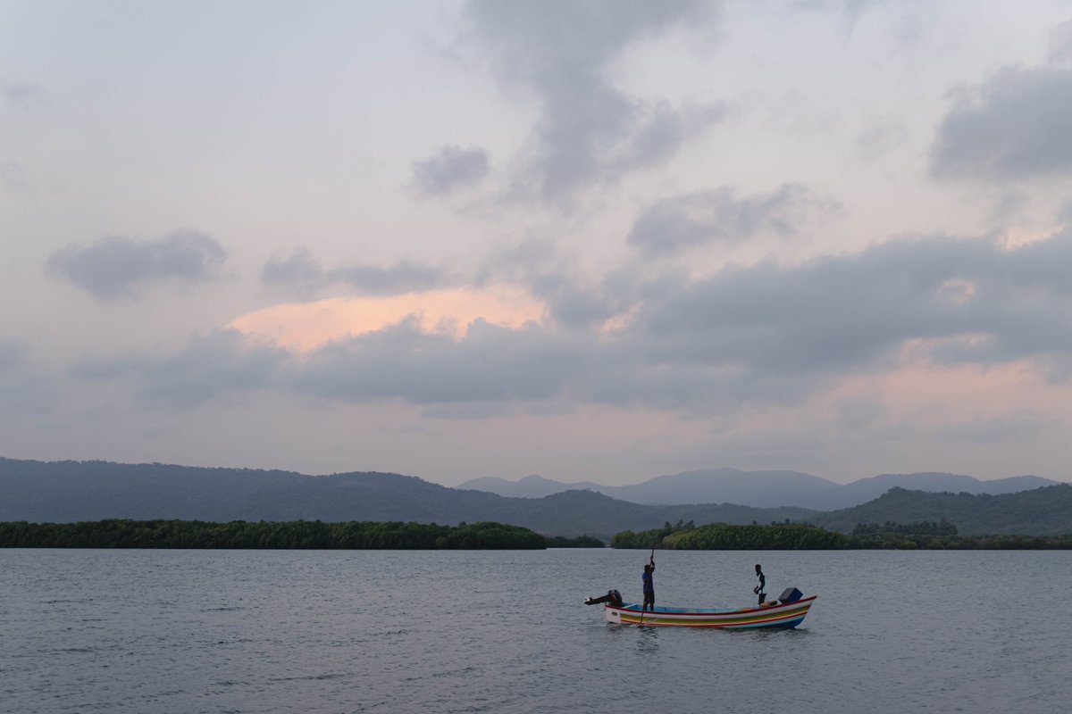 Kiran Topiwala tweet media