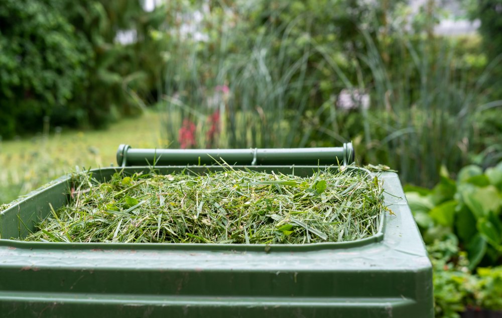 Anglesey residents can now subscribe online for the 2024 to 2025 green waste collection service here: anglesey.gov.wales/en/Residents/B… To guarantee the green waste collection pack and sticker arrives in time (before 1/4/24), residents are being encouraged to register online before 29/2.