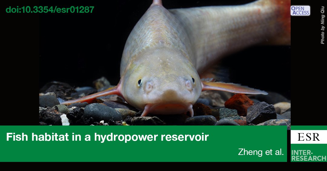 The Endangered and endemic #Coreiusguichenoti is threatened by cascade hydropower development in the upper #YangtzeRiver. We developed a habitat quality indicator to evaluate fish habitat and aid conservation in cascaded hydropower developments. bit.ly/esr_53_151