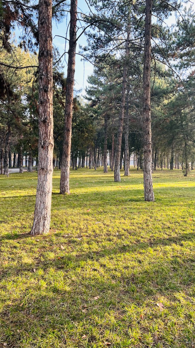 Today is my first-day <a href="/AGU_IO/">AGU International</a> (Abdullah Gül University)  as an assistant professor. The university was founded on the former campus of one of the first textile factories established by the young Republic in the 1930s. This makes this place a living laboratory for me.