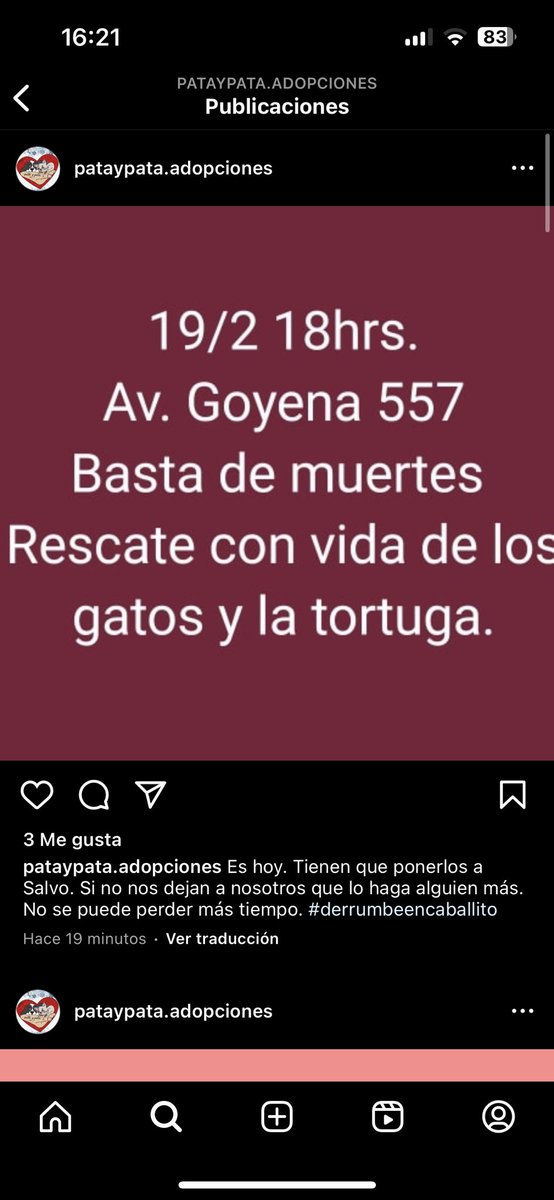 Moracomoelfruto's tweet photo. @martudeines Martu las chicas que sacaron a Ágatha hoy no pueden sacar más animales y todavía faltan dos gatos y una tortu! Ojalá veas esto y lo puedas compartir https://t.co/b7l6zcXO2l