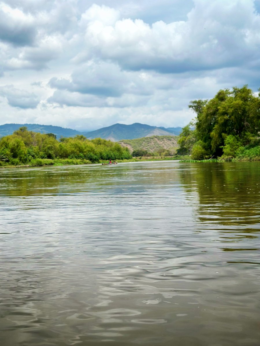 Darwin Ortega tweet media