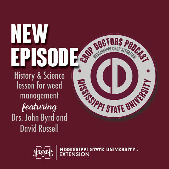 Drs. John Byrd with Mississippi State Extension and David Russell with Auburn University joined our hosts to discuss trends in weed management and what both of these weed scientists viewed as threats to the current systems we utilize. #mscrops #MSUext