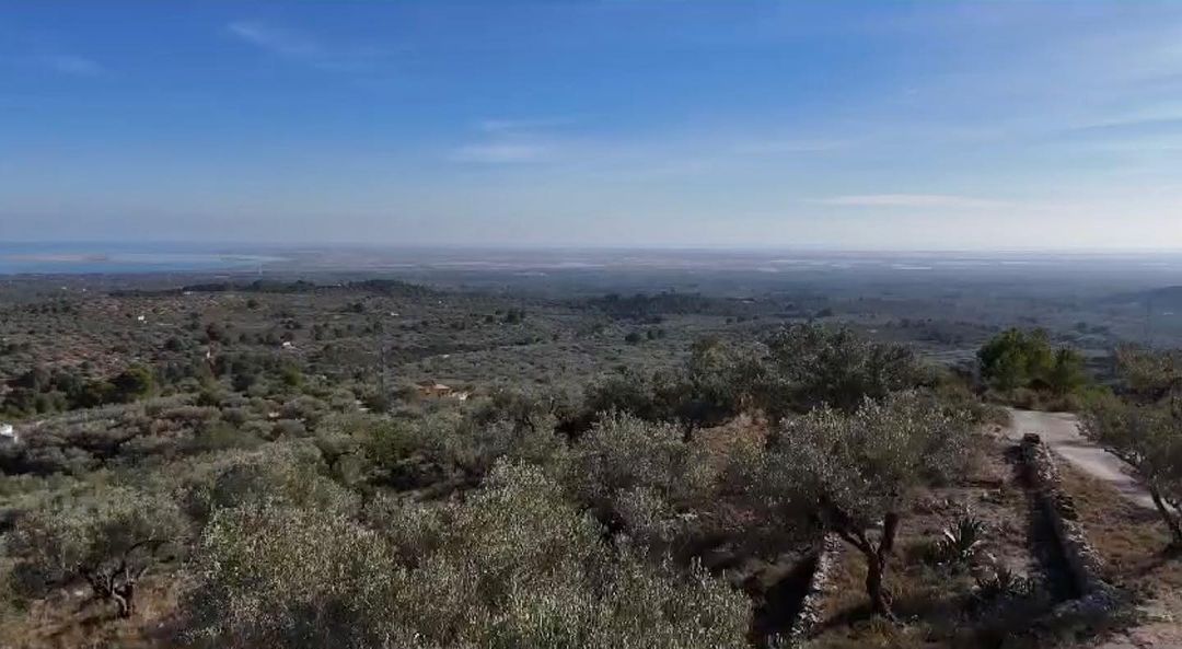 🌄 Des de l'Ermita del Coll de l'Alba (s. XIV) gaudeix del Delta de l'Ebre, el Parc dels Ports i la Vall de l'Ebre. 😍 🏞️🌳
📷bit.ly/48m5Jq7
📷@ferranbuera
📷@kellyemahayter
📷@tatianaburgers
#TortosaAunPas #terresdelebre #catalunyaexperience #ciutatsambcaracter