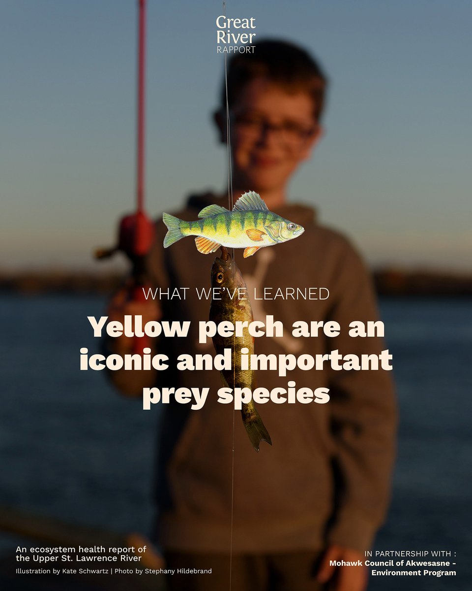 River Institute tweet media