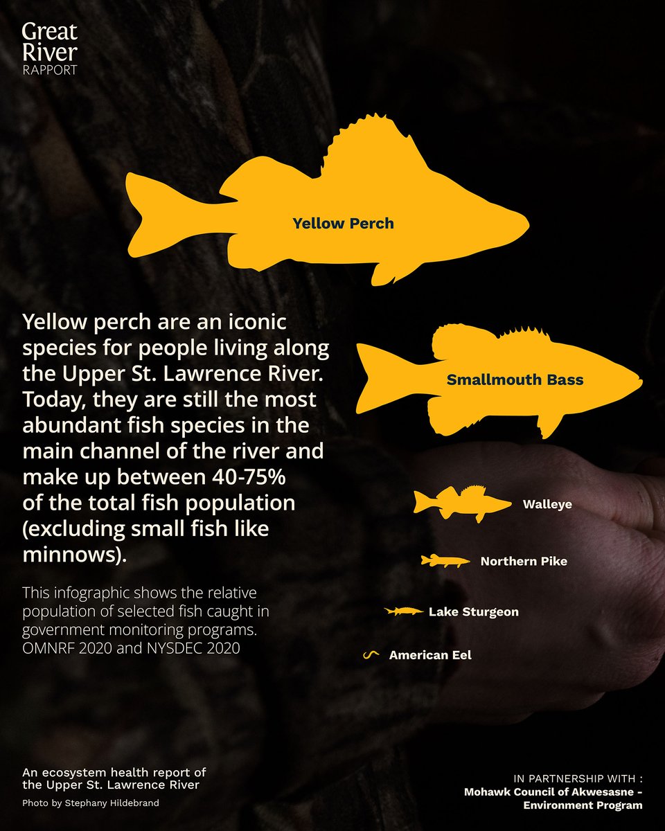 River Institute tweet media