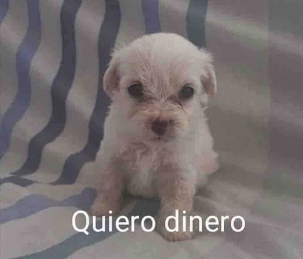 Guarromantico_'s tweet photo. Ya no quiero ir a trabajar, solo: https://t.co/w4waMvoxNx