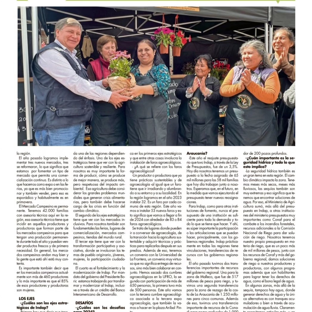 INDAP Araucanía (@indaparaucania) on Twitter photo 🔴Reactivación económica,avanzar hacia una agricultura sostenible y resiliente,mercados inclusivos;transición hacia la Agroecología,seguridad hídrica,fueron temas abordados en entrevista del DR. INDAP, Pablo González,en revista <a href="/camposureno/">Revista Campo Sureño</a>
#JuntosYJuntasTranformandoElCampo👩🏻🌾🧑🏻🌾🌱 🔴Reactivación económica,avanzar hacia una agricultura sostenible y resiliente,mercados inclusivos;transición hacia la Agroecología,seguridad hídrica,fueron temas abordados en entrevista del DR. INDAP, Pablo González,en revista <a href="/camposureno/">Revista Campo Sureño</a>
#JuntosYJuntasTranformandoElCampo👩🏻🌾🧑🏻🌾🌱