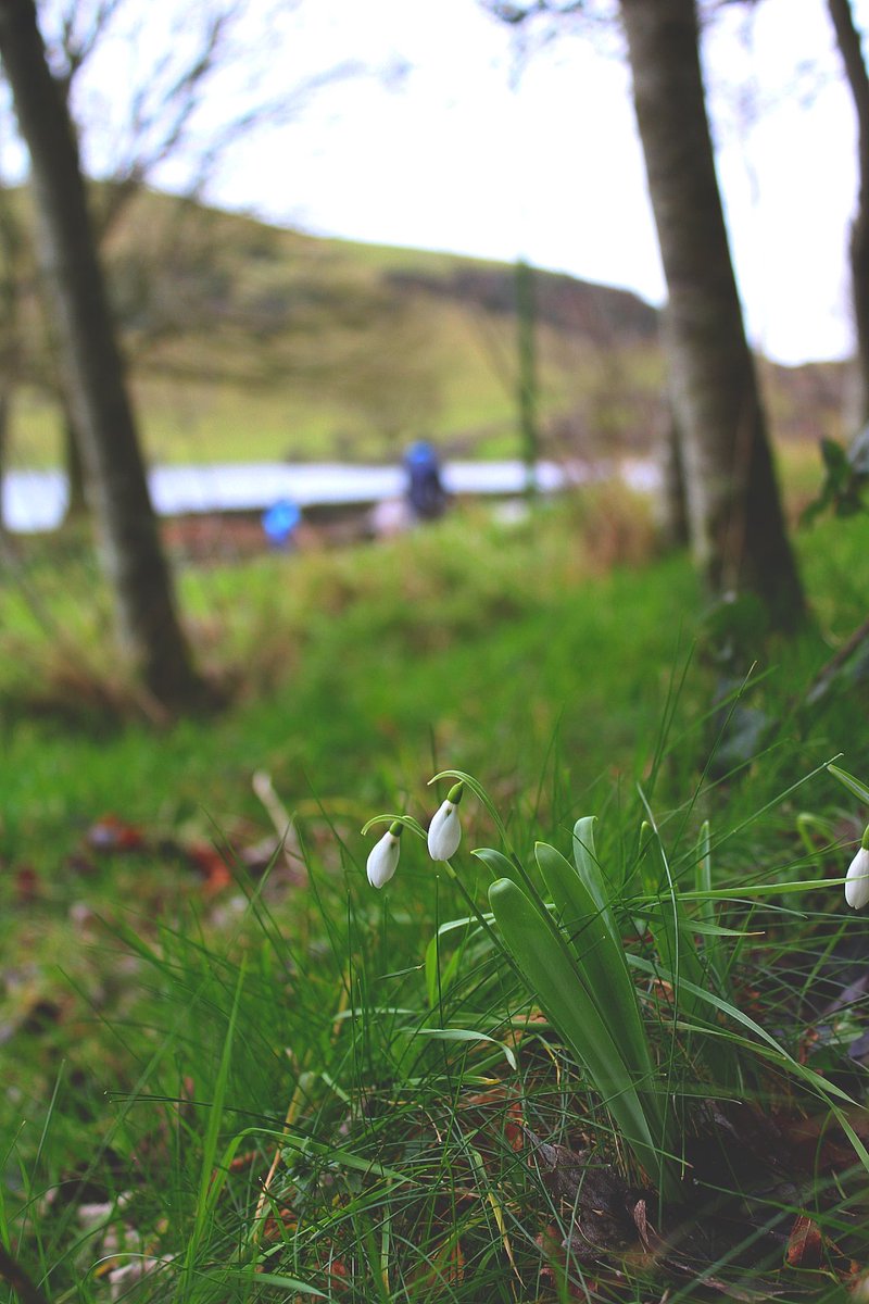 Spring is in the air 🌱

Reminder Lough Gur Visitor Centre, Playground and Kiosk are closed Mondays until March. We are open Tuesday to Sunday 10am -4pm. 

#visitloughgur