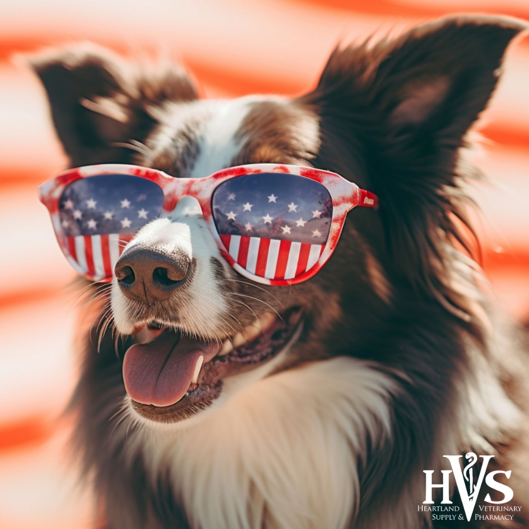 heartlandvet's tweet image. Pawsidential Pals: Celebrating Presidents Day with the cutest 'first pets' around! 🇺🇸🐾  
#HeartlandVetSupply  #PawsidentialPals #PetsofInstagram #WhiteHousePets #PetLovers #FirstPets#PresidentsDay #FurryFriends