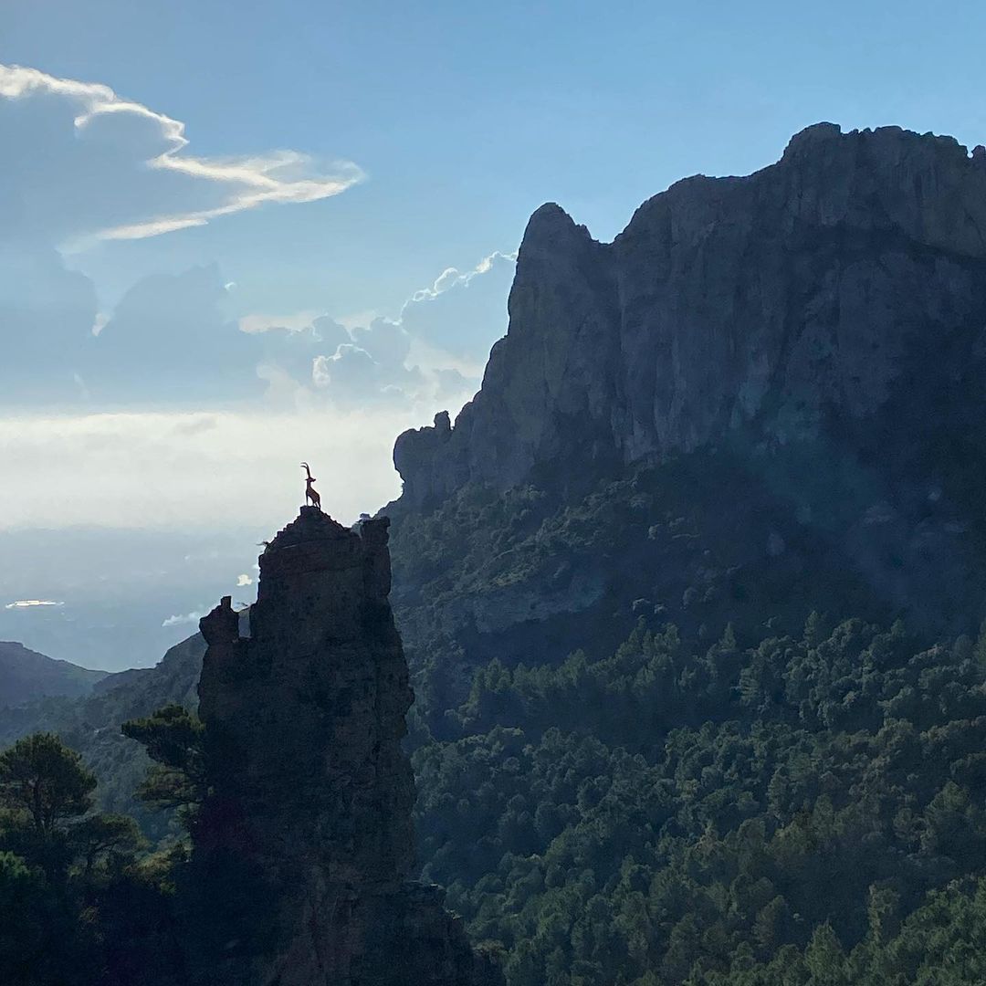 🏞️🥾Explora els impressionants paratges del Parc Natural dels Ports, un paradís per als amants de la muntanya i el senderisme. 
📷 bit.ly/3g#spain
📷@xsalvat
#TortosaAunPas #terresdelebre #catalunyaexperience #ciutatsambcaracter #GrandTourCatalunya #travel #spain