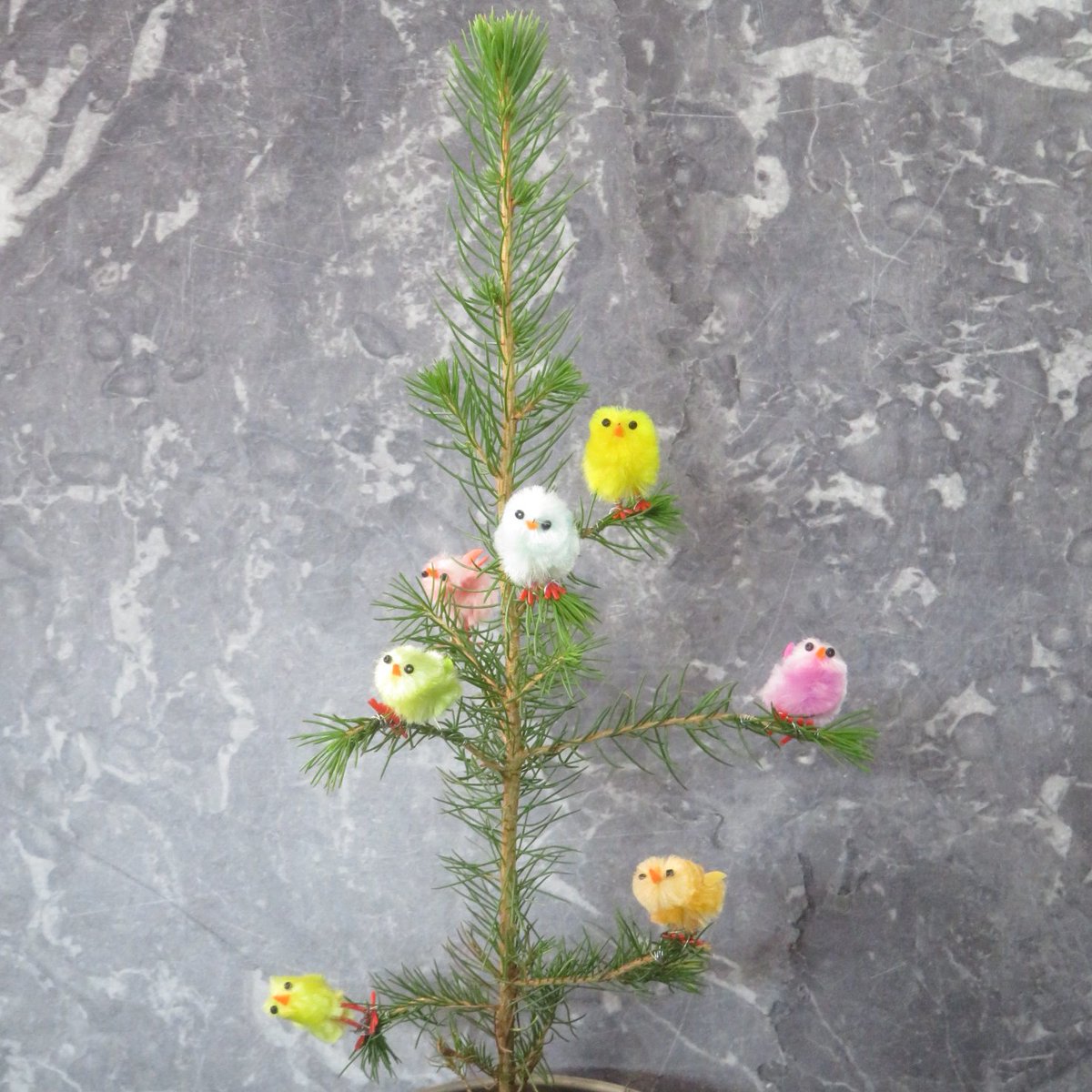knittedknobs's tweet photo. do you want to see my easter tree #eastertree #happyeaster #pancakedaytree #winnerwinnerchickendinner https://t.co/wg2VeKZNaX