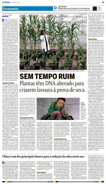 GCCRC tweet media