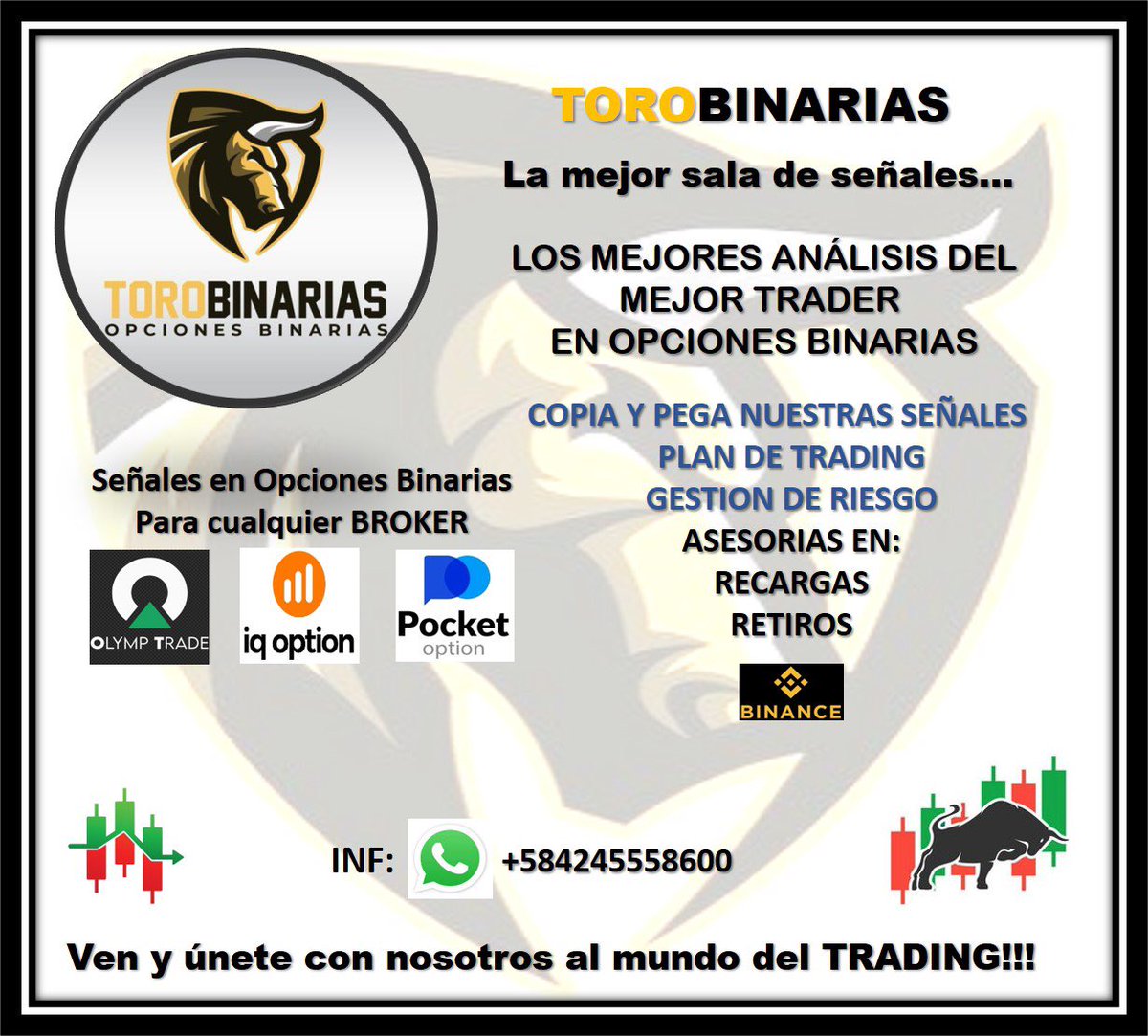 Primera_20's tweet photo. Información!! Excelentes resultados https://t.co/MbYah94nVJ