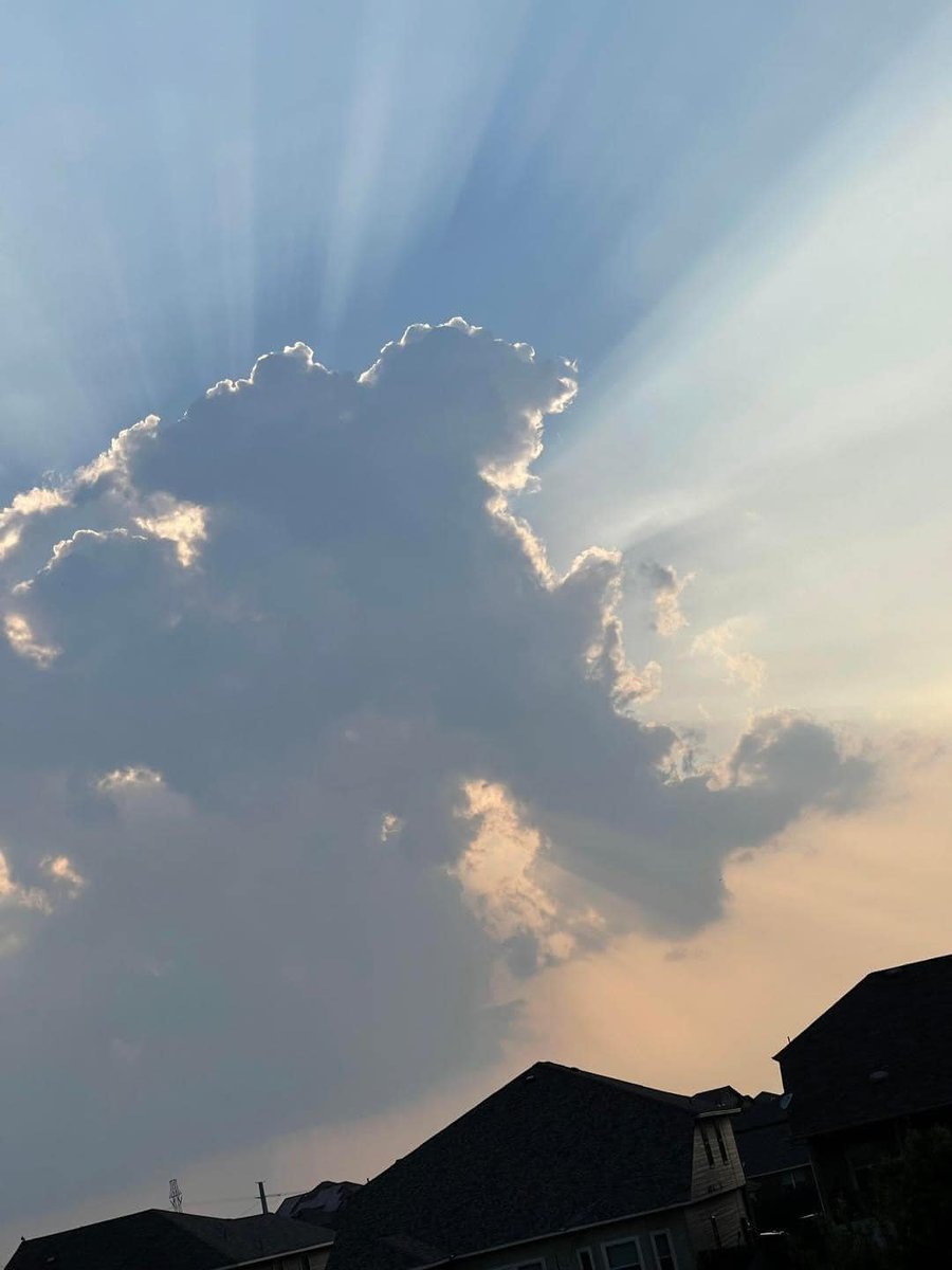 Ctrl-Alt-Destroy tweet media