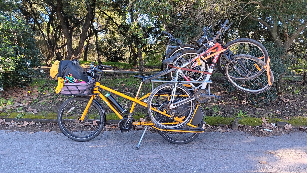 jjleiria's tweet photo. Não foi das coisas mais práticas que já transportei, mas chegámos inteiros e a horas. #YubaMundo #Longtail #CargoBike https://t.co/Mn6mKLZGfA