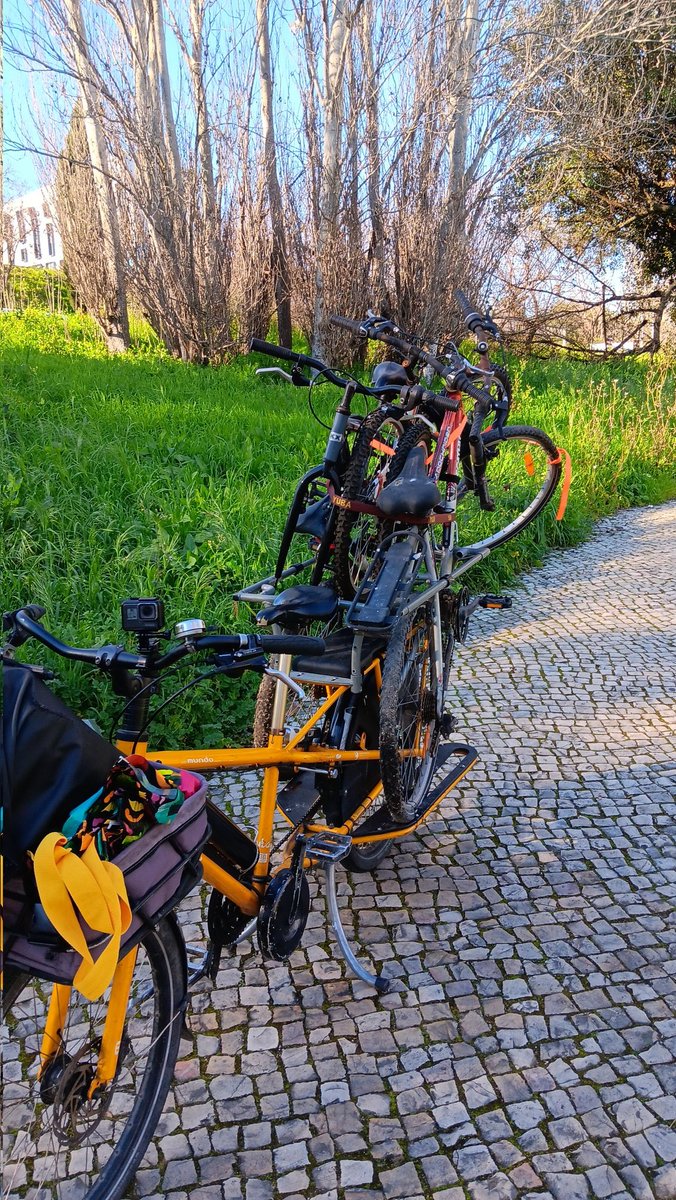 jjleiria's tweet photo. Não foi das coisas mais práticas que já transportei, mas chegámos inteiros e a horas. #YubaMundo #Longtail #CargoBike https://t.co/Mn6mKLZGfA