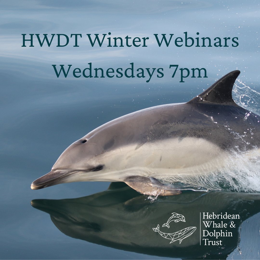Online talk 7pm Wednesday 21st

🗣️ Join celebrated author Tom Mustill for a thrilling voyage into the future of animal communication at this weeks Winter Webinar 'How to Speak Whale'.  
  
💙 Sign-up here: eventbrite.co.uk/e/how-to-speak…